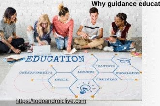 why guidance education