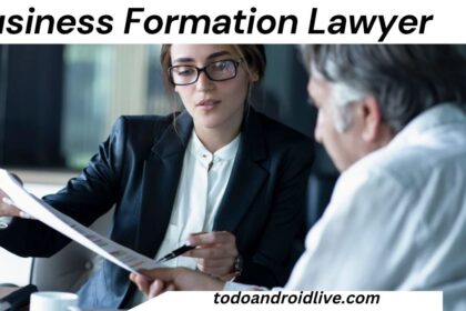 Business Formation Lawyer