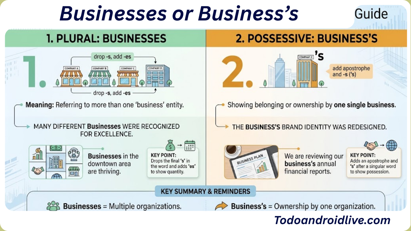 Businesses or Business’s