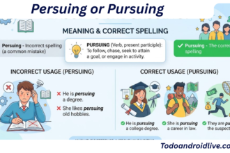 Persuing or Pursuing