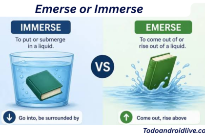 Emerse or Immerse